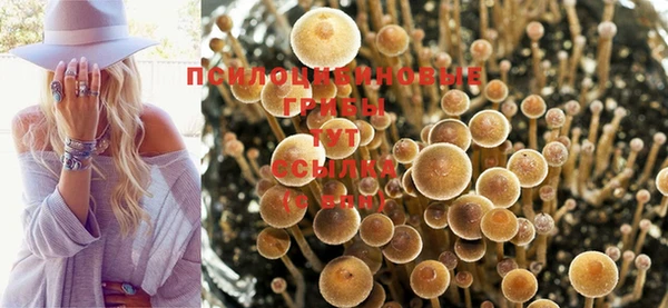 соль курить ск Алексин