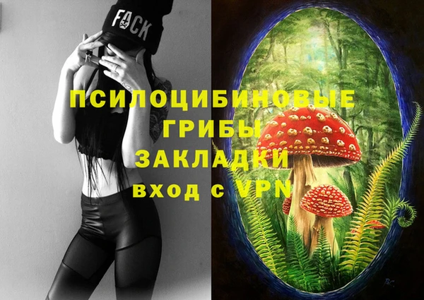 PSILOCYBIN Алексеевка