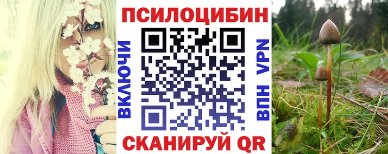 купить  сайты  Устюжна  Псилоцибиновые грибы Psilocybe 