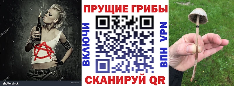 Псилоцибиновые грибы мицелий Устюжна